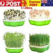 1/2PC Seed Sprouter Tray Microgreens Growing Tray for Wheat Office Alfalfa Seeds