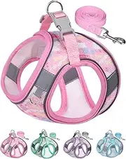 Aecllcea No Pull Dog Harness & Leash Set - Small/Medium, Pink, XS