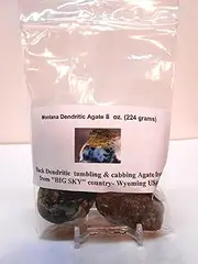 Rock Tumbler Gem Refill Kit Yellowstone,Montana Black Dendrite Agate Rough 8 oz