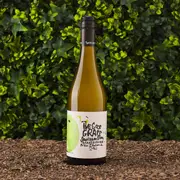 The Good Grape Marlborough Sauvignon Blanc 2021 | The Wine Collective