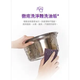 3M 百利 抗菌不鏽鋼頑垢專用菜瓜布 6片裝 菜瓜布