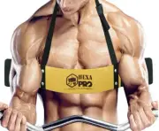 ARNOLD WEIGHT LIFTING BODYBUILDING BICEP ARM BLASTER EZ BAR CURL ARMS