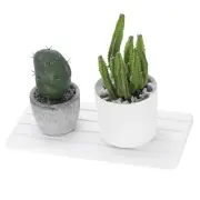 3 Pcs Fast Drying Diatomite Tray, Soap Dish Holders, White