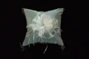 Enchanted- One of a Kind Ring Bearer/ Bridal Pillow, Hand Made in the USA