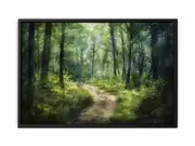 To Forests Framed Print Fine Art Poster Print