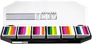 FUSION BODY ART Professional Quality Face Painting Palette – Leanne's Tropical Collection Palette | Hypoallergenic Safe & Non-Toxic – Water Activated Makeup Face Paint Kit for Kids & Adults | Perfect for Birthday Parties