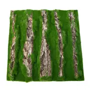 Reptile Cork Terrarium Background Aquarium Background Bark Reptile Climbing Mat