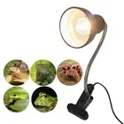 25/50/75W Turtle Tortoises Lizards UVA UVB Pet Reptile Lamp Heat Light E27 Bulb