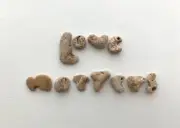 Natural Letter Shaped Rocks LOVE MATTERS Beach Stone word pebble Art craft hag