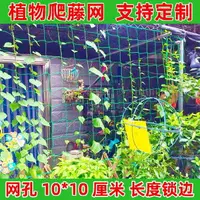 在飛比找樂天市場購物網優惠-瓜蔞搭棚架葡萄園大棚陽臺花藤羅漢果園藝植物爬藤網攀援網搭架網