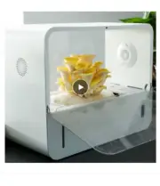 Soillness Mushrooms Growing System Circulating Smart Table Garden With Touch