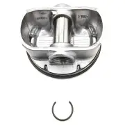 Polaris Piston Kit, Genuine OEM Part 2204958, Qty 1
