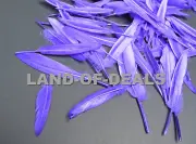 100 duck feathers Purple loose duck feathers small real feather for crafts decor