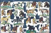 Vintage Lithograph Die Cut Paper Scraps HORSES Printed in Englad