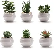 BERRYLION 6 Packs Succulents Fake Plants,Small Artificial Plants Indoor,Green Bookshelf Décor,Faux Plants for Home Décor,White Potted Fake Plant for Nightstand Decor