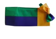 Mardi Gras Block Party Tuxedo Cummerbund and Bow Tie Set