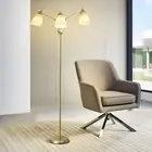 Floor Lamp Gold for Room: 3-Light Adjustable Flexible Gooseneck Tree Standing...