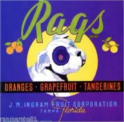 Tampa Florida Rags Mutt Puppy Dog Orange Citrus Fruit Crate Label Art Print