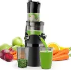 Masticating Juicer Machine for Whole Fruits and Vegetables Cold Press Slow Juice
