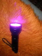 NEW ESCO LITE Black Light UV Flashlight, Escolite UV Lights 51 LED Ultraviolet