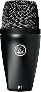 AKG P2 Bass Dynamic Instrument Microphone