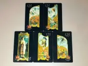 USA UNITED STATES, Coca Cola Four 4 Seasons Coke $25, Unused set of 5 Phonecards