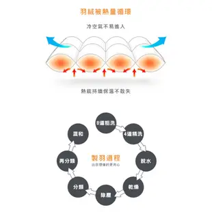 La Belle 90/10 水鳥羽毛絨 冬被 單/雙/特 格蕾寢飾 匈牙利 立體車邊 羽絨被 羽毛被