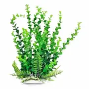 PD-BH33 Bacopa-like 12in weighted base Bag & Header, Green