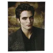 NECA The Twilight Saga New Moon Jigsaw Puzzle (Edward)