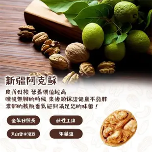 【西域果園】新疆紙皮核桃500g(新疆185紙皮核桃 可手撥殼 6入)