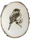Bird Pyrography wood burning Coaster Cutting Cheese Board Centerpiece Gift