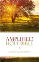 Holy Bible ─ Amplified: Captures the Full Meaning Behind the Original Greek and Hebrew