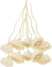 10Pcs Natural Diffuser Sticks for Aromatherapy Enhance Home with Fragrance for Living Bedroom and Kitchen for Essential Oil Diffusers