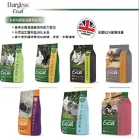 在飛比找蝦皮購物優惠-※兔老爺※現貨快速出貨 英國Burgess Excel 伯爵