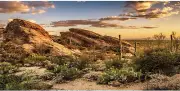 AWERT Terrarium Background 36X18 Inches Reptile Habitat Background Blue Sky Oasi