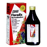 在飛比找樂天市場購物網優惠-德國原裝【沙露斯】草本液Floradix 鐵元 (250ml