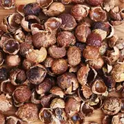 100 lb Deseeded Soap Nuts / Berries + 200 burlap bags