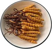10 Grams Wild Himalayan Cordyceps Sinensis Dong Chong Xia Cao Cordyceps Sinensis Chinese Caterpillar Fungus.