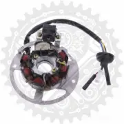 Stator For Giantco Cyclop 50 2T