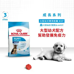 【ROYAL 法國皇家】大型幼犬專用飼料MXP 10KG(狗乾糧 狗飼料)