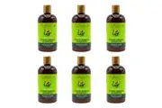 6x Shea Moisture 384ml Moringa & Avocado Shampoo w Kate Matcha & Green Algae