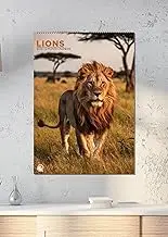 Lions Calendar 2026