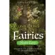 Connecting with the Fairies Made Easy: Discover the Magical World of the Nature Spirits