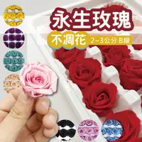 在飛比找PChome24h購物優惠-8入一組 永生玫瑰花 B級品不凋花玫瑰 2-3cm 永生花 