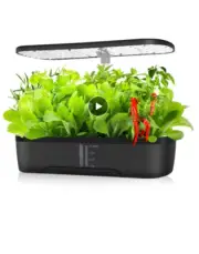 12 Pods Hydroponics Growing System, Herb Garden Kit Indoor Adjustable Height wit