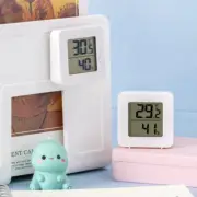 Digital Electronic Thermohygrometer Indoor Mini Thermometer Hygrometer Wet Dry