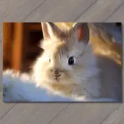 FLATCARD Soft Elegance Mesmerizing Bunny in Sunlit Splendor Cute rabbit