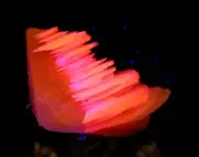 57.6g Natural "Melaleuca" tower pink fluorescent calcite mineral specimen/China