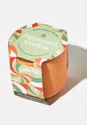 [Modern Sprout] Peppermint Cosmos Tiny Terracotta Kit