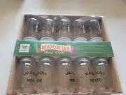 Farm to Table MASON JAR 10 ct Clear String Lights New In Box 3.75 in High